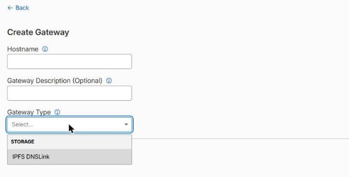 The Create Gateway form with the Gateway Type dropdown open, showing a single option under a STORAGE heading: IPFS DNSLink.